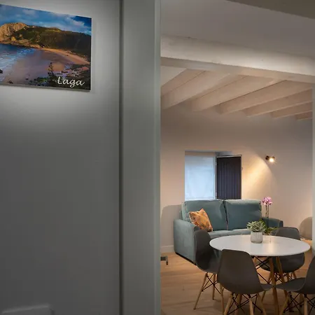 Hondarmendi Apartment