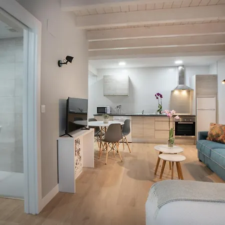 Apartment Hondarmendi